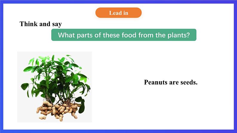 【核心素养】北京版英语五下 Unit 3《How do seeds travel？》Lesson 11 课件第6页