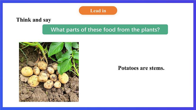 【核心素养】北京版英语五下 Unit 3《How do seeds travel？》Lesson 11 课件第7页