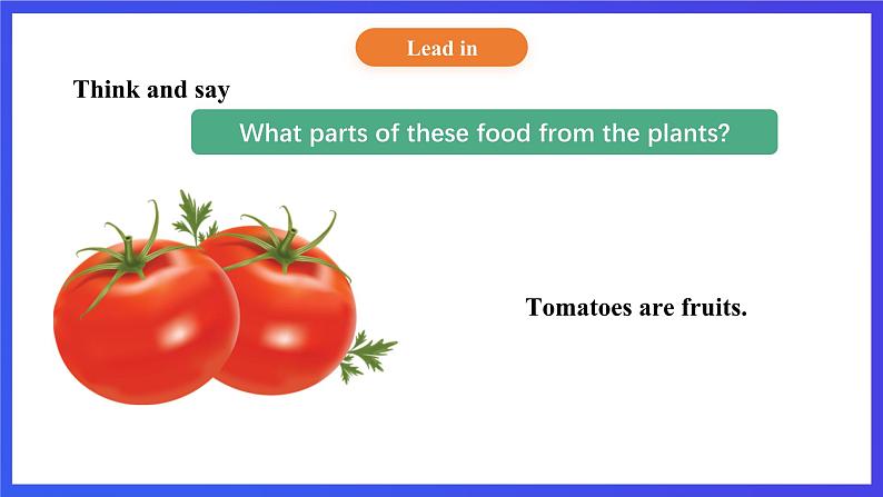 【核心素养】北京版英语五下 Unit 3《How do seeds travel？》Lesson 11 课件第8页