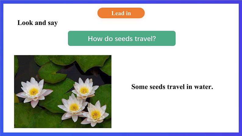 【核心素养】北京版英语五下 Unit 3《How do seeds travel？》Lesson 12 课件第5页