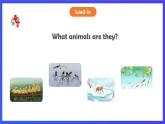 人教版（新起点）英语三年级下册 Unit 6《My Home》Fun Time & Story Time 课件