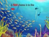 人教版（新起点）英语三年级下册 Unit 6《My Home》Fun Time & Story Time 课件