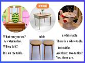 川教版（三起点）英语五下 Unit 1 Lesson 2《Talking about squirrels Let’s learn》课件＋教案＋练习＋素材