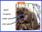 川教版（三起点）英语五下 Unit 1 Lesson 2《Talking about squirrels Let’s talk》课件＋教案＋练习＋素材