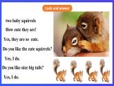 川教版（三起点）英语五下 Unit 1 Lesson 2《Talking about squirrels Let’s talk》课件＋教案＋练习＋素材