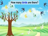 Unit 5  How many kites are there 第2課時 Parts (D, F & G)（課件+素材）-2024-2025學(xué)年湘少版（三起）英語三年級下冊
