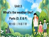 Unit 3 What’s the weather like 第2課時(shí) Parts (D, E & F)（課件+素材）-2024-2025學(xué)年湘少版（三起）英語(yǔ)三年級(jí)下冊(cè)