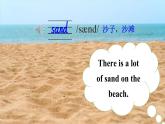 外研劍橋版英語五下 Unit 5《On the beach》第4課時(shí)（Parts 5 & 6）課件+素材