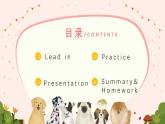 人教PEP英語五下 Unit 5 Whose dog is it? PartB&C(第6課時)課件+教案+動畫+音視頻素材