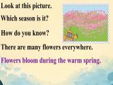 Unit 2 My favourite season Part B  Read and write（课件）人教PEP版英语五年级下册