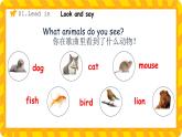 新人教版小學(xué)英語三年級(jí)下冊(cè) Unit 2 Part A Let’s talk&Describe and choose  課件+教案