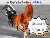 Unit 5 Animals Lesson 1（課件+素材）-2024-2025學(xué)年人教精通版（三起）（2024）英語三年級下冊