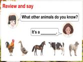 Unit 5 Animals Lesson 2（課件+素材）-2024-2025學(xué)年人教精通版（三起）（2024）英語三年級下冊