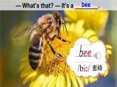 Unit 5 Animals Lesson 2（課件+素材）-2024-2025學(xué)年人教精通版（三起）（2024）英語三年級下冊