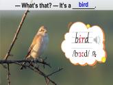 Unit 5 Animals Lesson 2（課件+素材）-2024-2025學(xué)年人教精通版（三起）（2024）英語三年級下冊