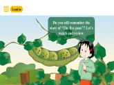 滬教牛津版(六三制一起)六下 Module 4 Unit 12《The five peas》Period 2 課件+單元教案+素材
