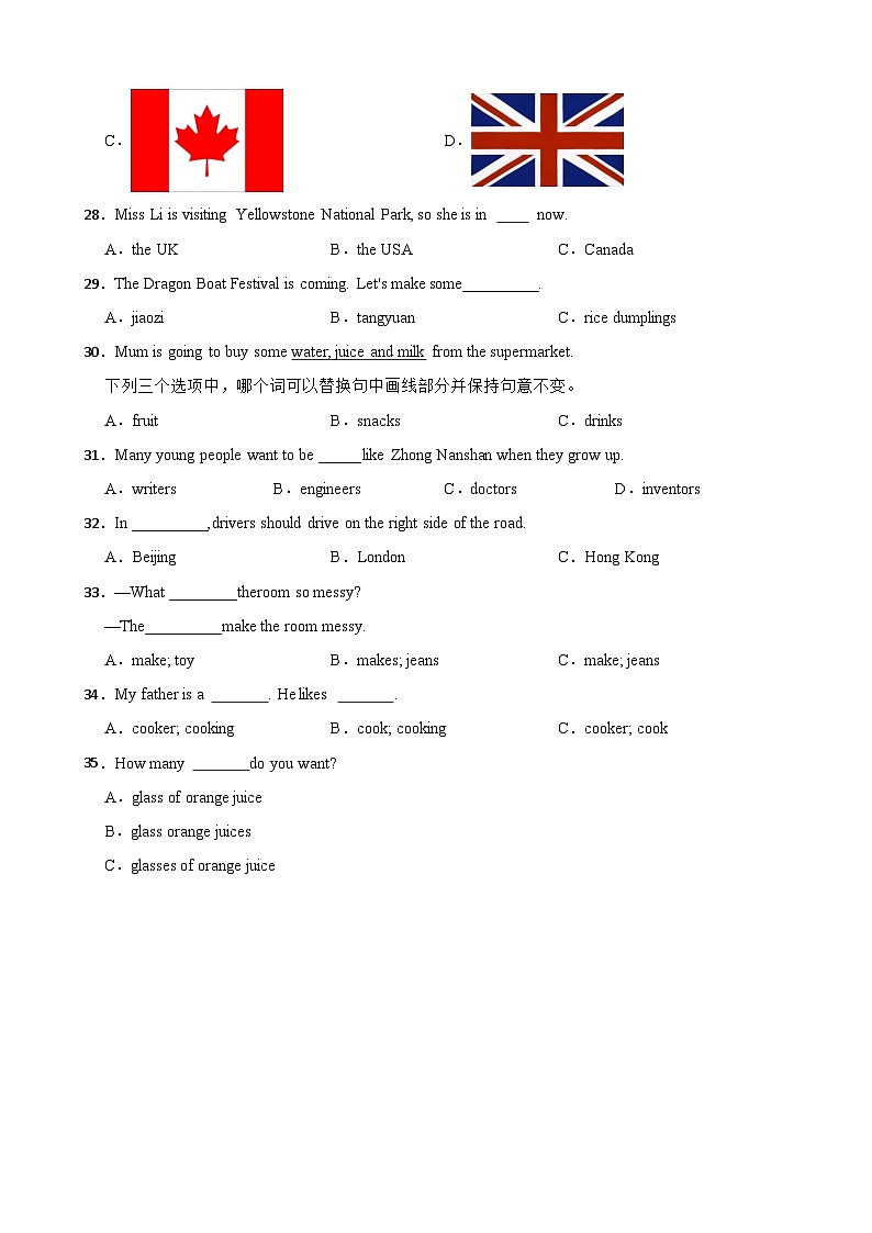 专项1：名词 （含答案 解析）--2024-2025学年六年级小升初英语语法练习[江苏省专用]（译林三起）第3页