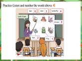 科普版（2024）英語三年級上冊 Unit 5 Animals around us Period 1（課件）