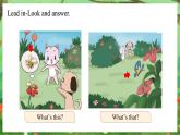 科普版（2024）英語三年級(jí)上冊(cè) Unit 5 Animals around us Period 3（課件）