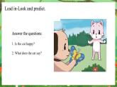 科普版（2024）英語三年級(jí)上冊(cè) Unit 5 Animals around us Period 3（課件）