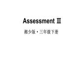 小學(xué)英語(yǔ)新湘少版三年級(jí)下冊(cè)Assessment Ⅲ教學(xué)課件2025春