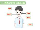 小學(xué)英語(yǔ)新湘少版三年級(jí)下冊(cè)Assessment Ⅲ教學(xué)課件2025春