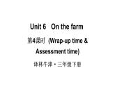 小學(xué)英語新譯林版（三起）三年級下冊Unit 6 第4課時(shí)（Wrap-up time & Assessment time）教學(xué)課件2025春