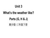 小學(xué)英語(yǔ)新湘少版三年級(jí)下冊(cè)Unit 3 What's the weather like第3課時(shí)教學(xué)課件2025春