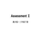 小學(xué)英語(yǔ)新湘少版三年級(jí)下冊(cè)Assessment II教學(xué)課件2025春