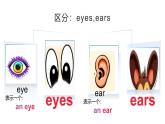 閩教版英語三年級(jí)下冊(cè)U1Lesson 4 Look!  It’s a cat.課件