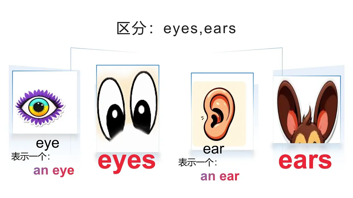 闽教版英语三年级下册U1Lesson 4 Look! It’s a cat.课件第4页