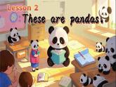 閩教版英語三年級(jí)下冊(cè)U1Lesson2 These are pandas.課件