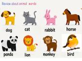 閩教版英語三年級(jí)下冊(cè)U1Lesson2 These are pandas.課件