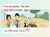閩教版英語三年級(jí)下冊(cè)U1Lesson2 These are pandas.課件