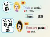 閩教版英語三年級(jí)下冊(cè)U1Lesson2 These are pandas.課件