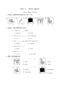 英语Lesson 3 Where Are They?优秀练习