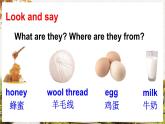 Unit 5 Animals Lesson 3（課件+素材）-2024-2025學(xué)年人教精通版（三起）（2024）英語三年級下冊