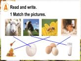 Unit 5 Animals Lesson 3（課件+素材）-2024-2025學(xué)年人教精通版（三起）（2024）英語三年級下冊