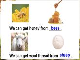 Unit 5 Animals Lesson 3（課件+素材）-2024-2025學(xué)年人教精通版（三起）（2024）英語三年級下冊