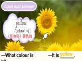 Unit 6 Colours Lesson 2（課件+素材）-2024-2025學(xué)年人教精通版（三起）（2024）英語(yǔ)三年級(jí)下冊(cè)