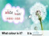Unit 6 Colours Lesson 2（課件+素材）-2024-2025學(xué)年人教精通版（三起）（2024）英語(yǔ)三年級(jí)下冊(cè)