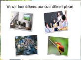 滬教牛津版（2024）英語三年級下冊 Unit 4 What sounds can we hear 第1課時 Get ready（課件+素材）