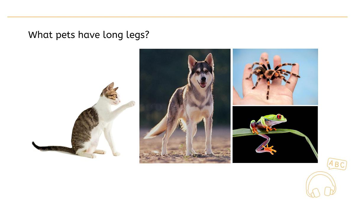 人教版（PEP2024）英语 三下Unit 2 Lesson 1 A talk课件第3页