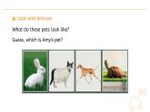 人教版（PEP2024）英語 三下Unit 2 Lesson 2 A learn課件