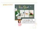 人教版（PEP2024）英語 三下Unit 2 Lesson 2 A learn課件