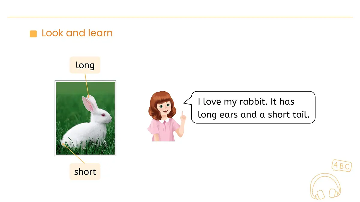 人教版（PEP2024）英语 三下Unit 2 Lesson 2 A learn课件第6页