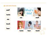 人教版（PEP2024）英語 三下Unit 3 Lesson 5 B learn 課件