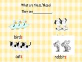 人教版（PEP2024）英語 三下Unit 3 Part B學(xué)練課件
