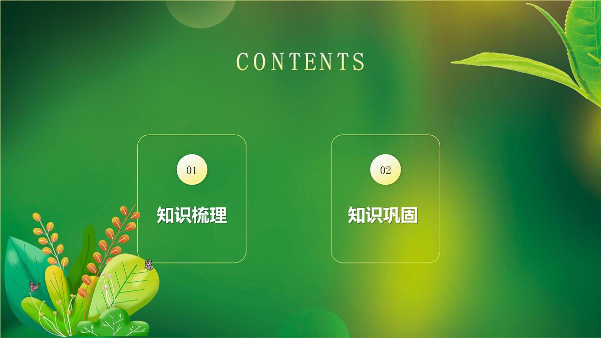 人教版（PEP2024）英语 三下Unit 3 复习 课件第2页