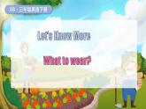 湘少版（三起）（2024）英語三年級下冊 Unit 6 There is an egg here Let's Know More（課件+素材）